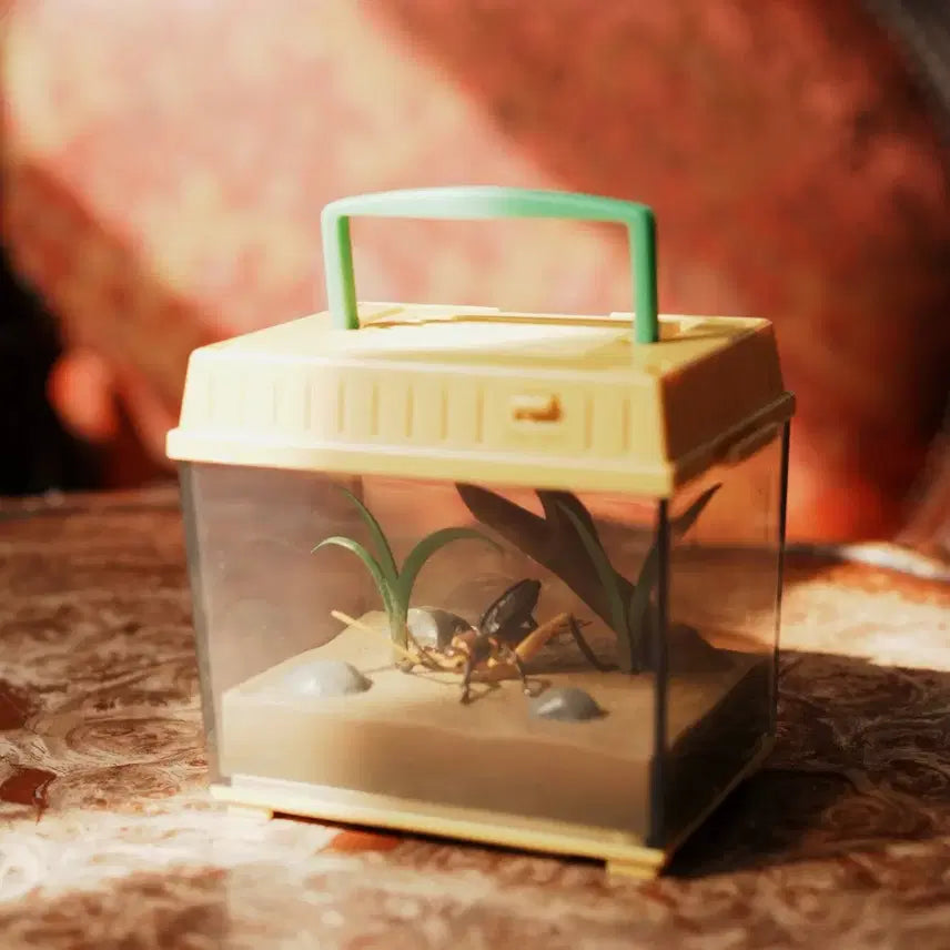 [BUNJANG] Takara Tomy Animal Crossing Insect Collecting Container Vintage Toy / TOMY 타카라토미 채집통 피규어 고전완구 동물의숲