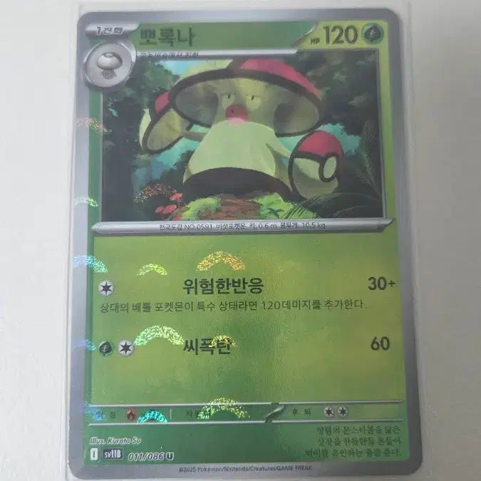 [BUNJANG] Pokemon Card Porookna Monster Ball / 포켓몬카드 뽀록나 몬스터볼