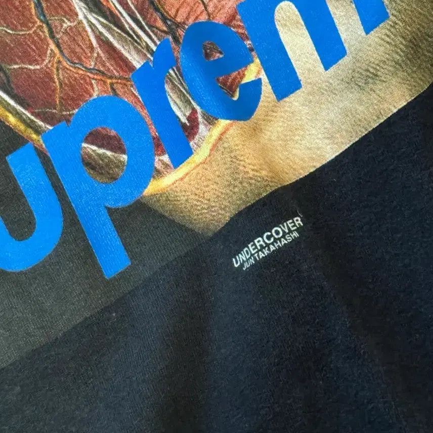 [BUNJANG] Supreme x Undercover Anatomy Short Sleeve T-Shirt Black / 슈프림 언더커버 아나토미 반팔 티셔츠 L 블랙