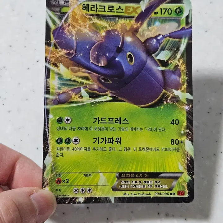 [BUNJANG] Heracross EX Pokémon Card / 포켓몬 헤라크로스 EX 카드