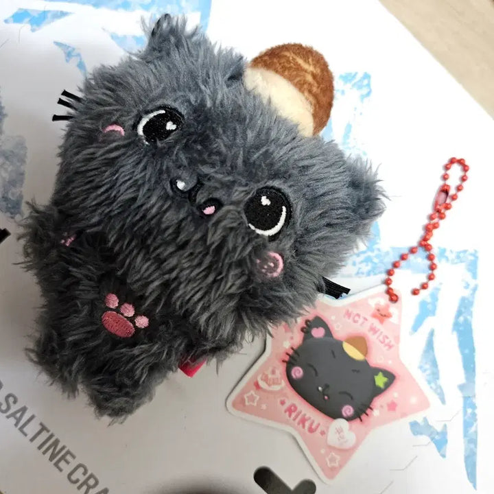 [BUNJANG] NCT WISH Riku Kuri Pocket Wish Doll / 엔시티 위시 리쿠 쿠리 포켓위시돌