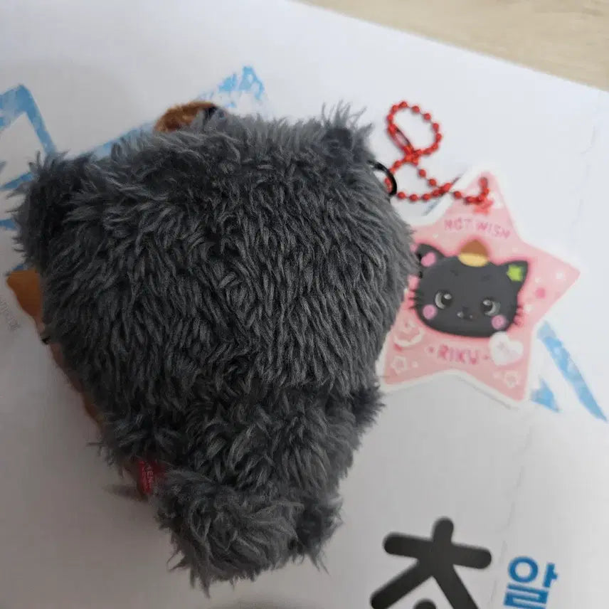[BUNJANG] NCT WISH Riku Kuri Pocket Wish Doll / 엔시티 위시 리쿠 쿠리 포켓위시돌