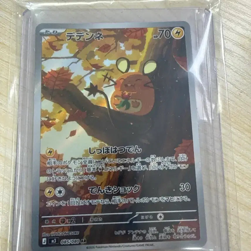 [SOLD OUT] 데덴네 일판 두장