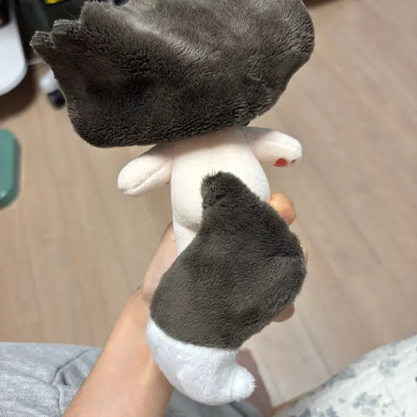 [BUNJANG] Hwasan Gwihwan Little Dangbo Fox Plush Doll / 화산귀환 꼬마당보 여우 솜인형 판매