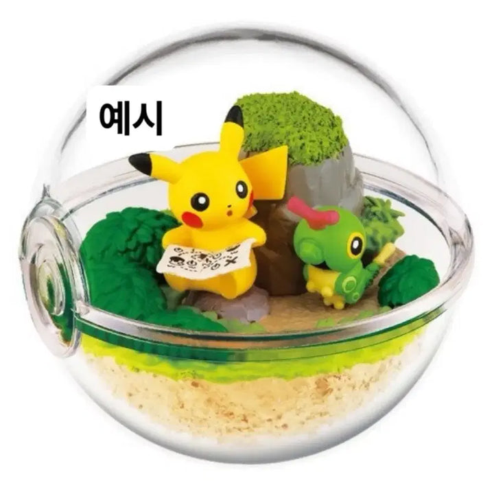 [SOLD OUT] 포켓몬센터 한정 테라리움 피규어