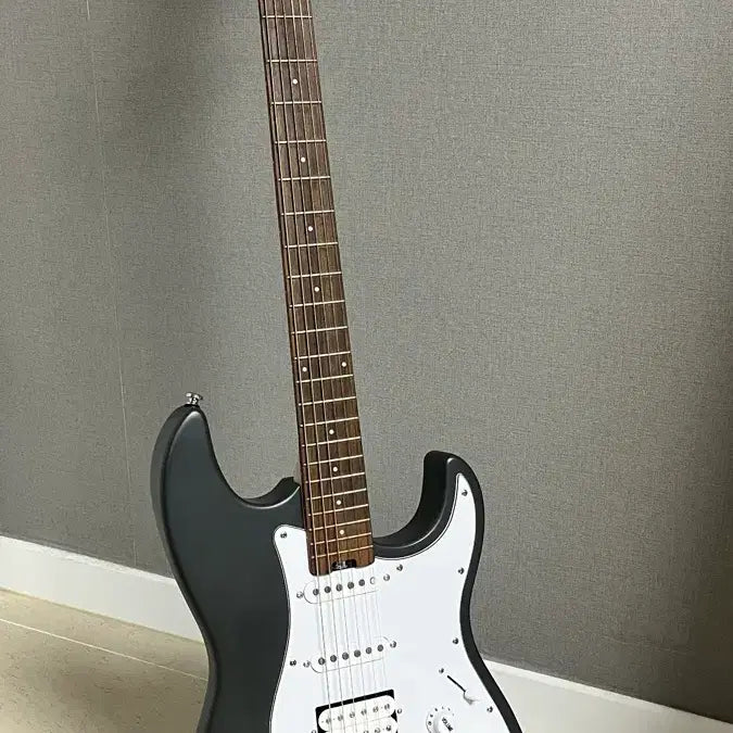 [BUNJANG] Hex E100 Electric Guitar / 헥스 e100 일렉기타