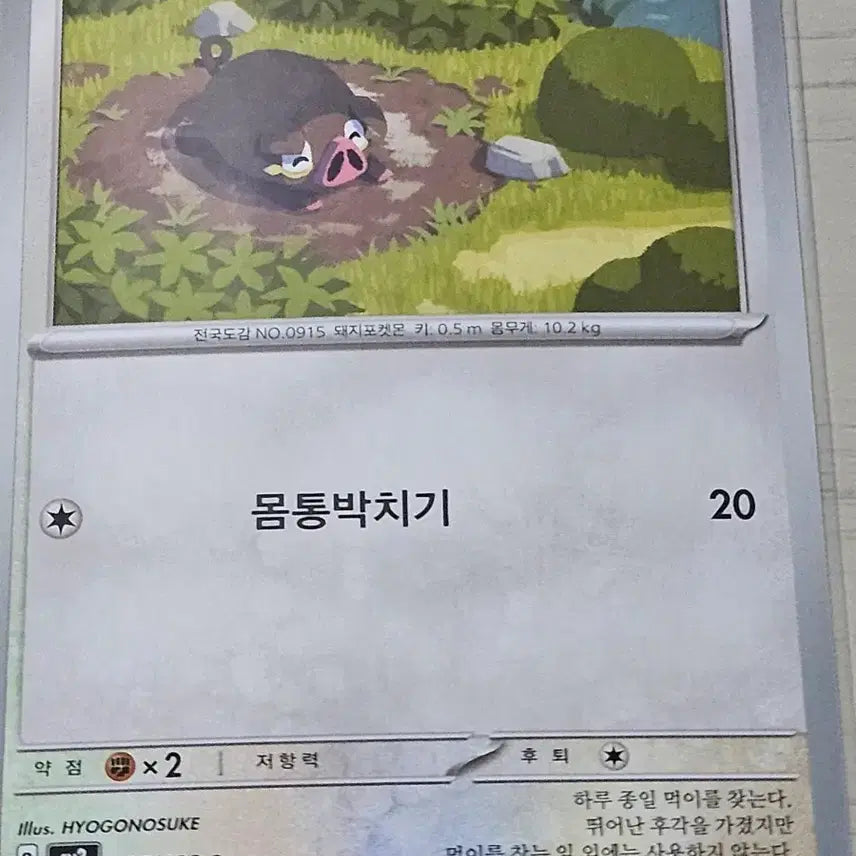 [BUNJANG] Pokemon TCG Masudon 096/108 C / 포켓몬 카드 맛보돈 096/108 C