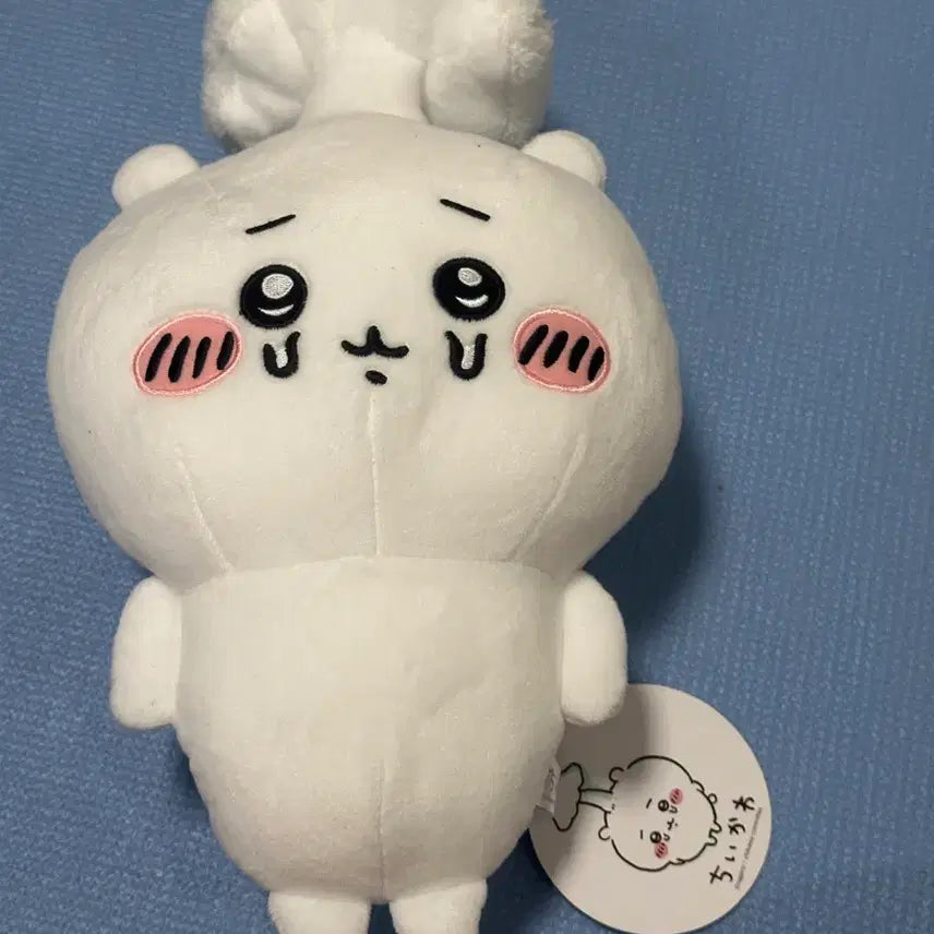 [BUNJANG] Chiikawa Fungus Mushroom BIG Plush / 먼작귀 치이카와 후류 기생버섯 BIG인형