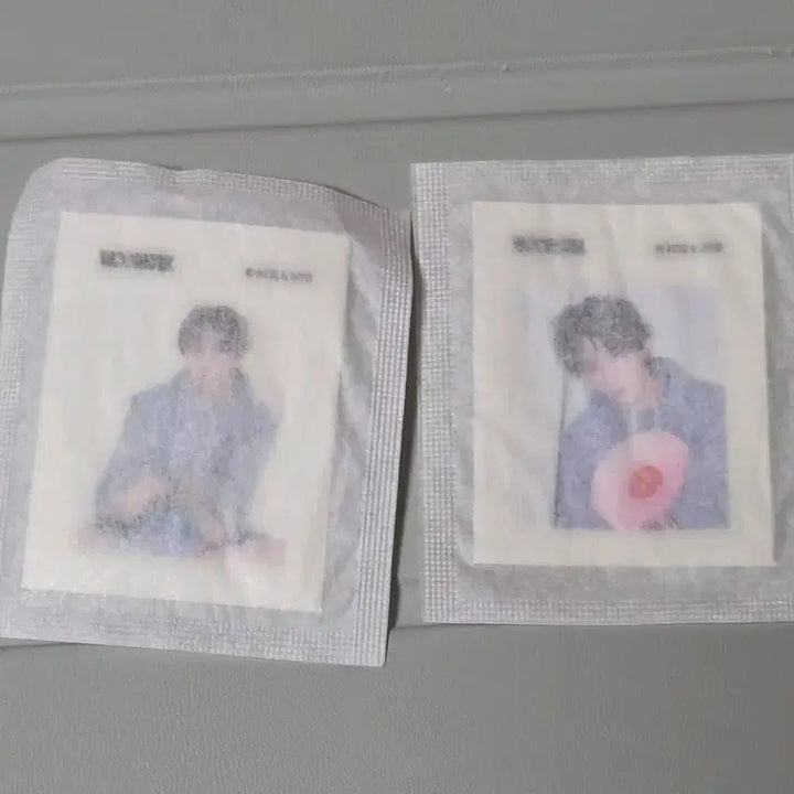 [BUNJANG] BOYNEXTDOOR Home Collection Yunhak Dibbo Seal Bundle Set / 보넥도 홈 운학 띠부씰 양도