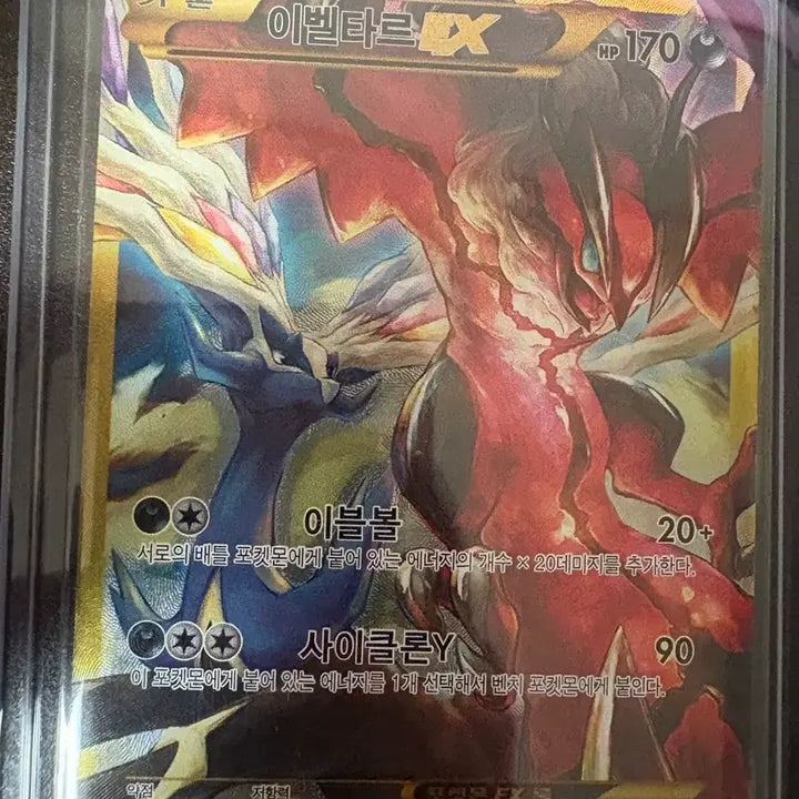 [BUNJANG] Yveltal ex Card / 이벨타르 ex