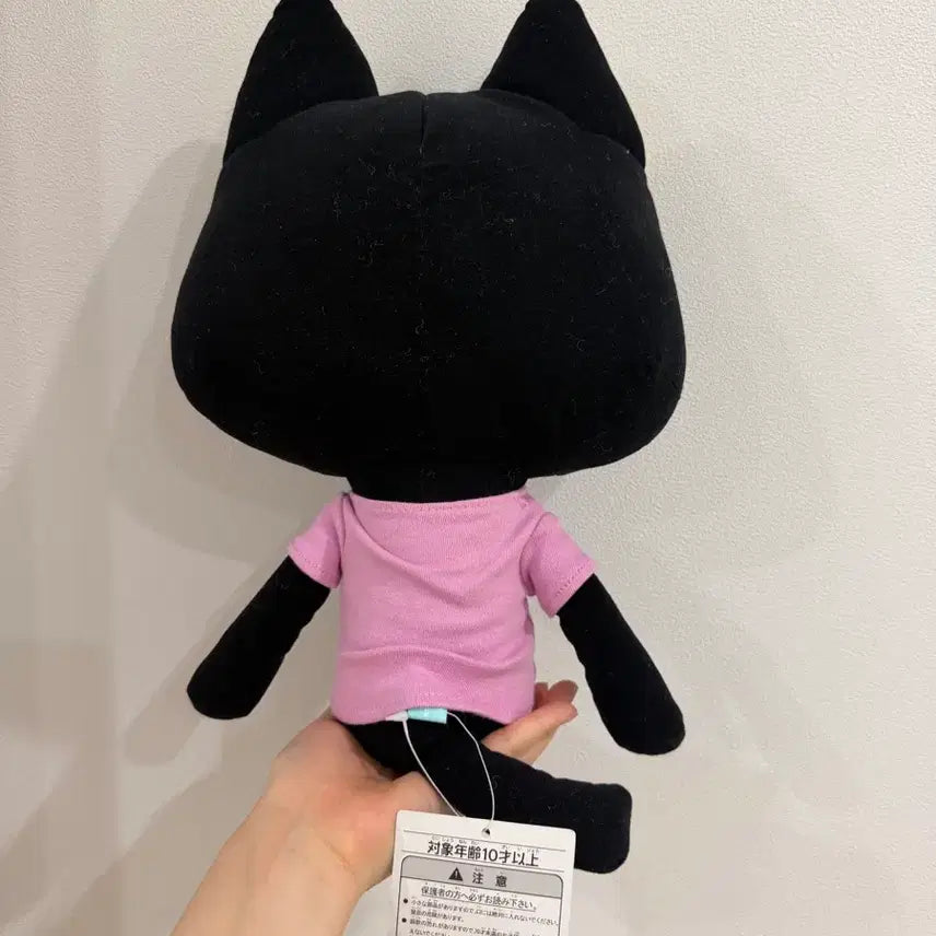 [BUNJANG] Dokodemoissho Kuro Large/Medium Plush / 도코데모잇쇼 쿠로 대형/중형 인형
