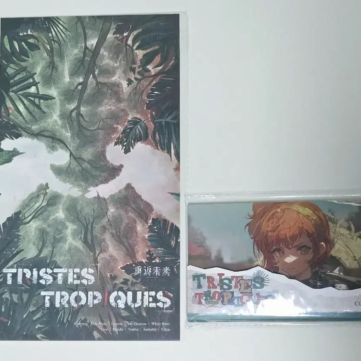 [BUNJANG] Reverse 1999 Chinese Version Poster, Postcard Bundle Set / 리버스1999 2.2 중국 버전 포스터, 엽서 일괄 판매