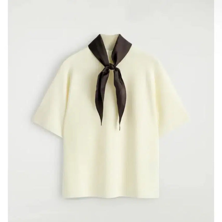 [BUNJANG] COS Merino Wool T-shirt with Scarf Detail (L) / cos 코스 스카프 디테일 메리노 울 티셔츠 (L)