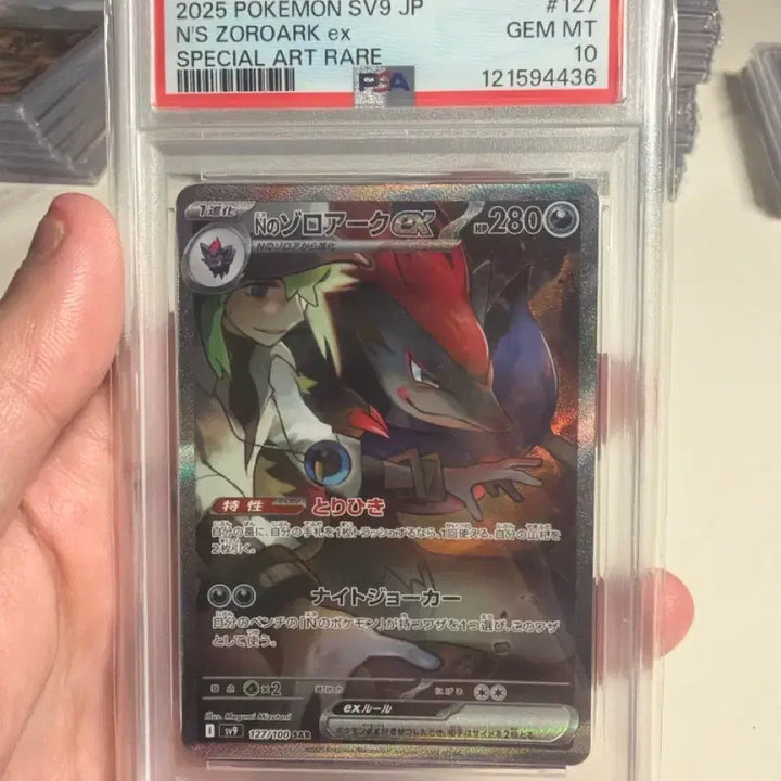 [BUNJANG] 2025 Pokemon N&