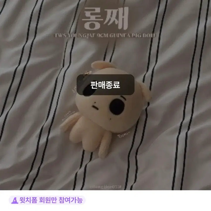 [BUNJANG] Tours Youngjae Doll Longjae / 투어스 영재 인형 롱째 양도합니다