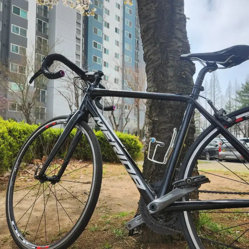 [BUNJANG] Merida Scultura 100 Road Bike / 메리다 스컬트라100 판