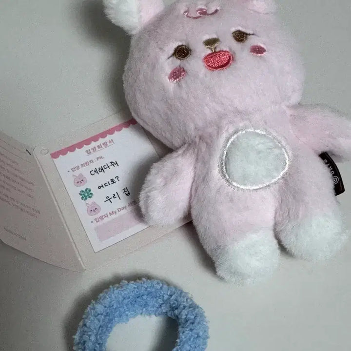 [BUNJANG] DAY6 Young K Petit Merz 10CM Ver. / 데이식스 쁘띠멀즈 필 10CM.Ver