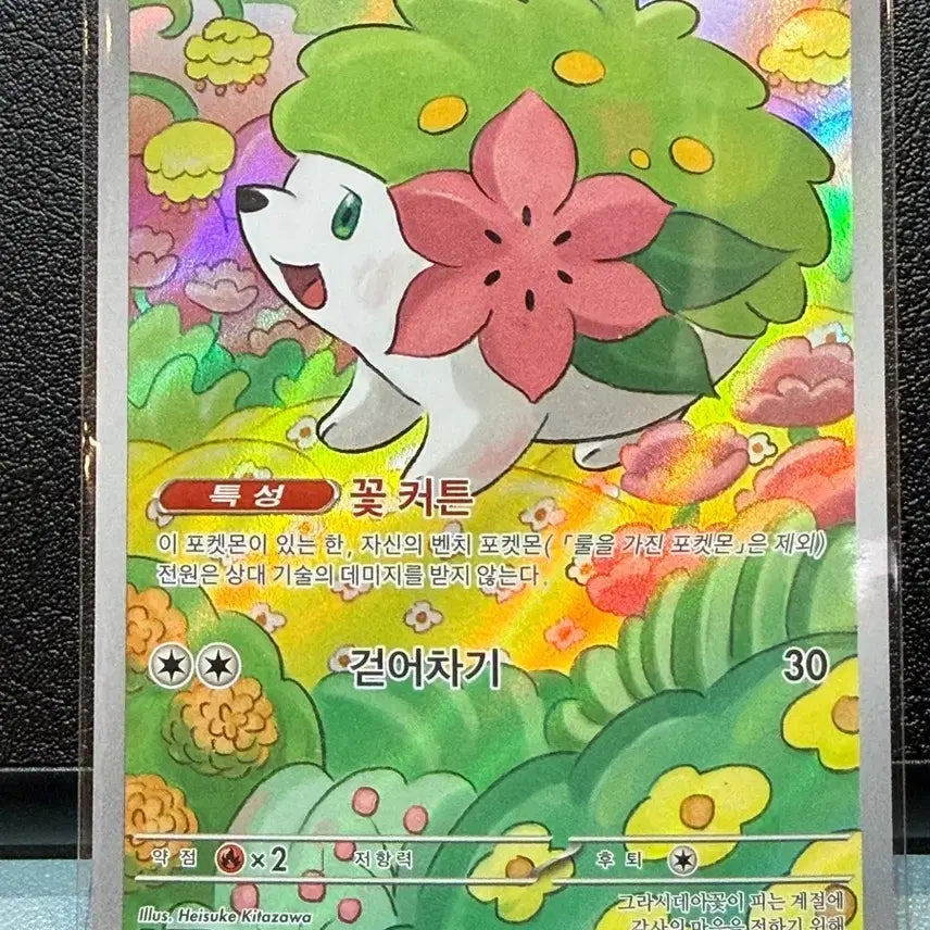 [BUNJANG] Pokemon Card Shaymin AR / 포켓몬카드 쉐이미 AR