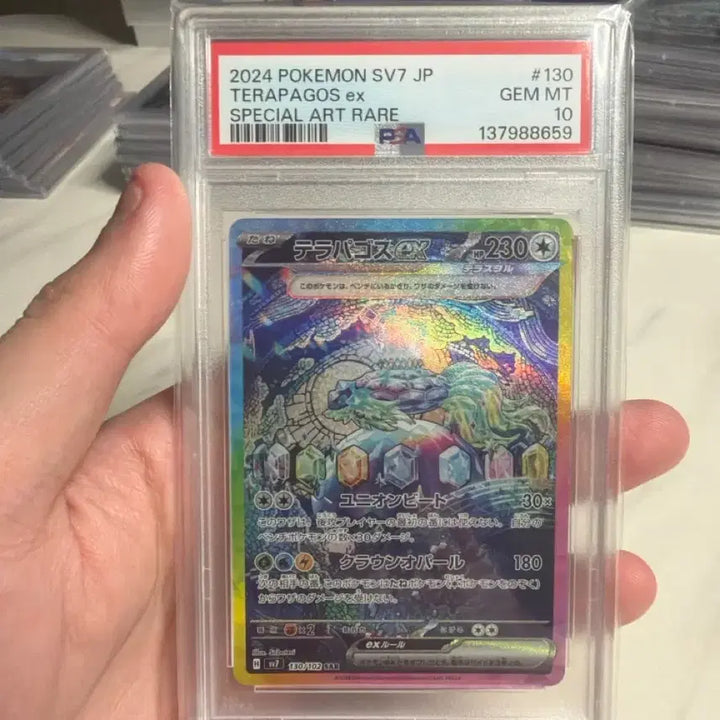 [BUNJANG] 2024 Pokemon SV7 JP Terrapagos EX Special Art Rare PSA 10 / 2024 포켓몬 SV7 JP 테라파고스 EX 스페셜 아트 레어 psa10