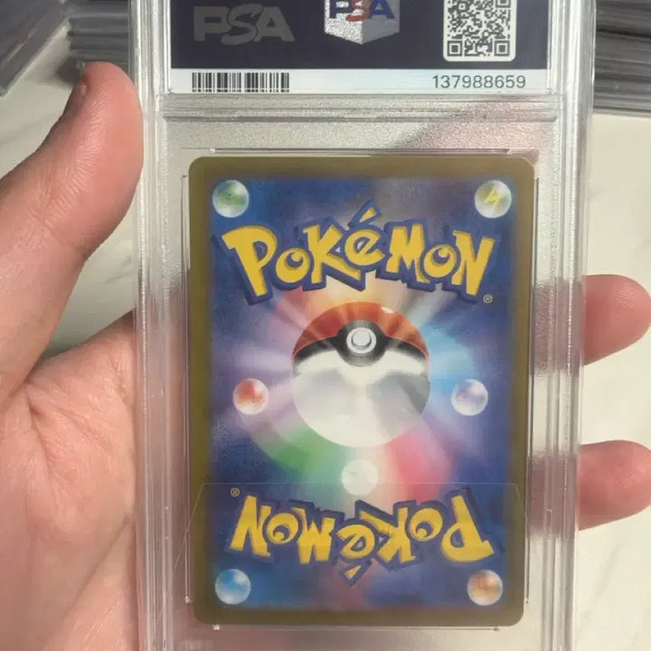 [BUNJANG] 2024 Pokemon SV7 JP Terrapagos EX Special Art Rare PSA 10 / 2024 포켓몬 SV7 JP 테라파고스 EX 스페셜 아트 레어 psa10