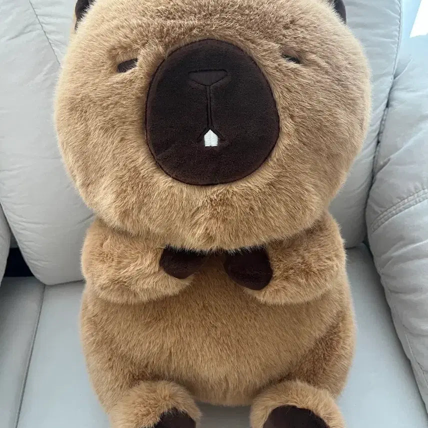 [BUNJANG] Uso Uso-chan Large Dark Brown Plush 45cm / 속았지 우소우소짱 다크브라운 대형인형 45cm 우소인형