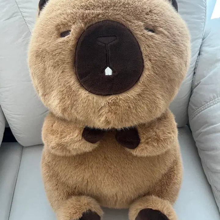 [BUNJANG] Uso Uso-chan Large Dark Brown Plush 45cm / 속았지 우소우소짱 다크브라운 대형인형 45cm 우소인형