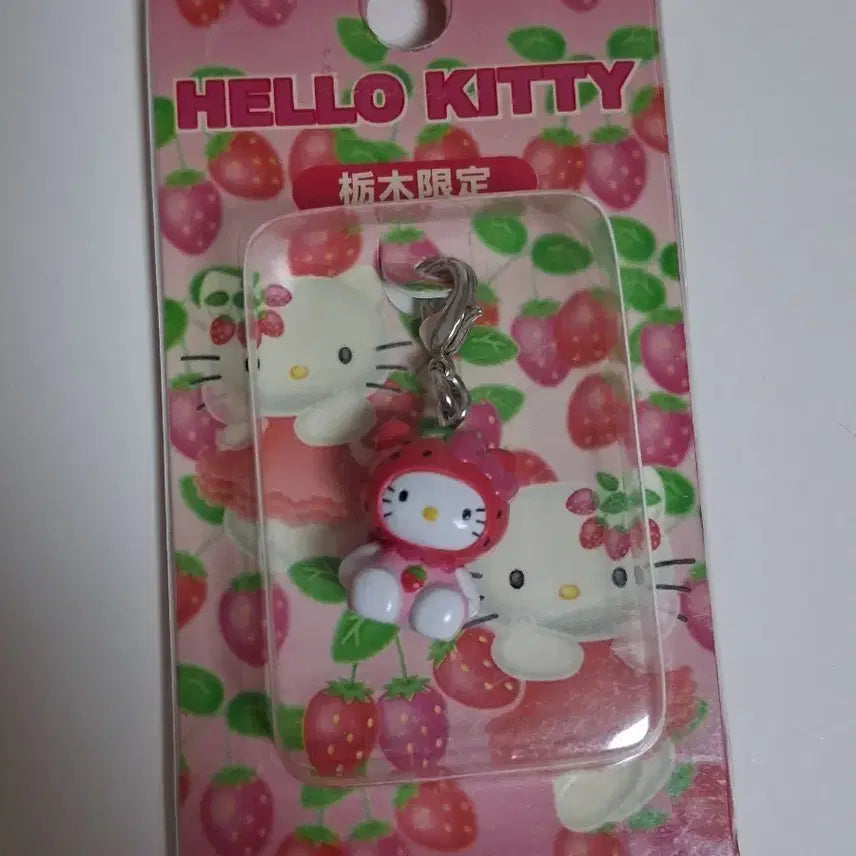 [BUNJANG] Strawberry Bear Ichigo Tochigi Kitsch Strap Keychain / 고전 딸기곰 이치고 도치기 키티스트랩 키링