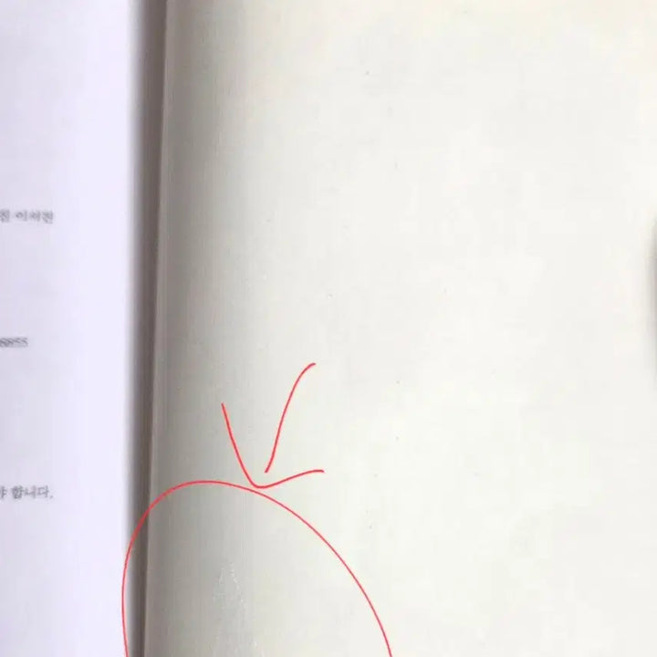 [BUNJANG] Annyeongirageuraesseo: A Short Story Collection / 안녕이라그랬어