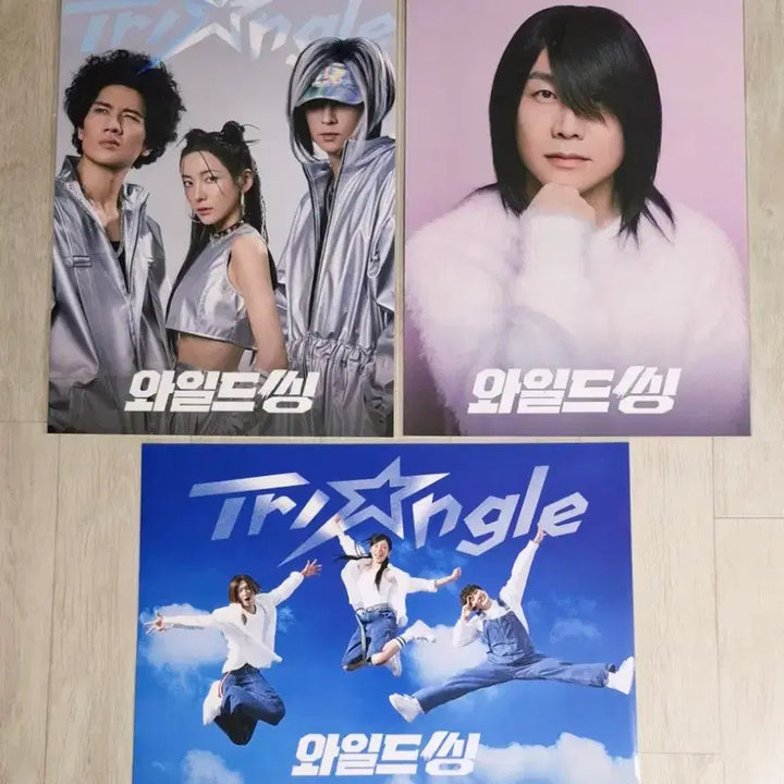 [BUNJANG] Wild Thing Posters Bundle Set (Triangle 2nd Album + Choi Sung Gon + Triangle) / (3종일괄) 와일드씽 포스터(트라이앵글2집+최성곤+트라이앵글) 일괄판매