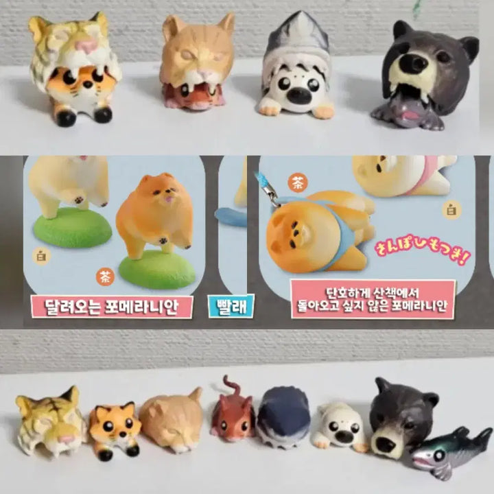 [BUNJANG] Pomeranian Animal Gachapon Set (6 types) / 가챠 포메 동물 6종 일괄