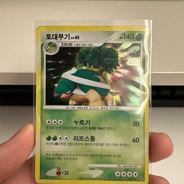 [BUNJANG] Pokemon Card Turtwig LV.45 / 포켓몬카드 토대부기 LV.45 카드