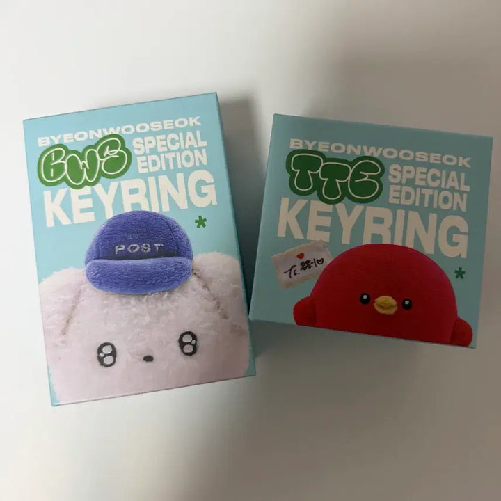 [BUNJANG] Byun Woo Seok Ddaengtongi &amp; Tongtongi Keyring, HBD Set / 덤 드려요!!) 변우석 댕통이 통통이 키링, HBD 세트
