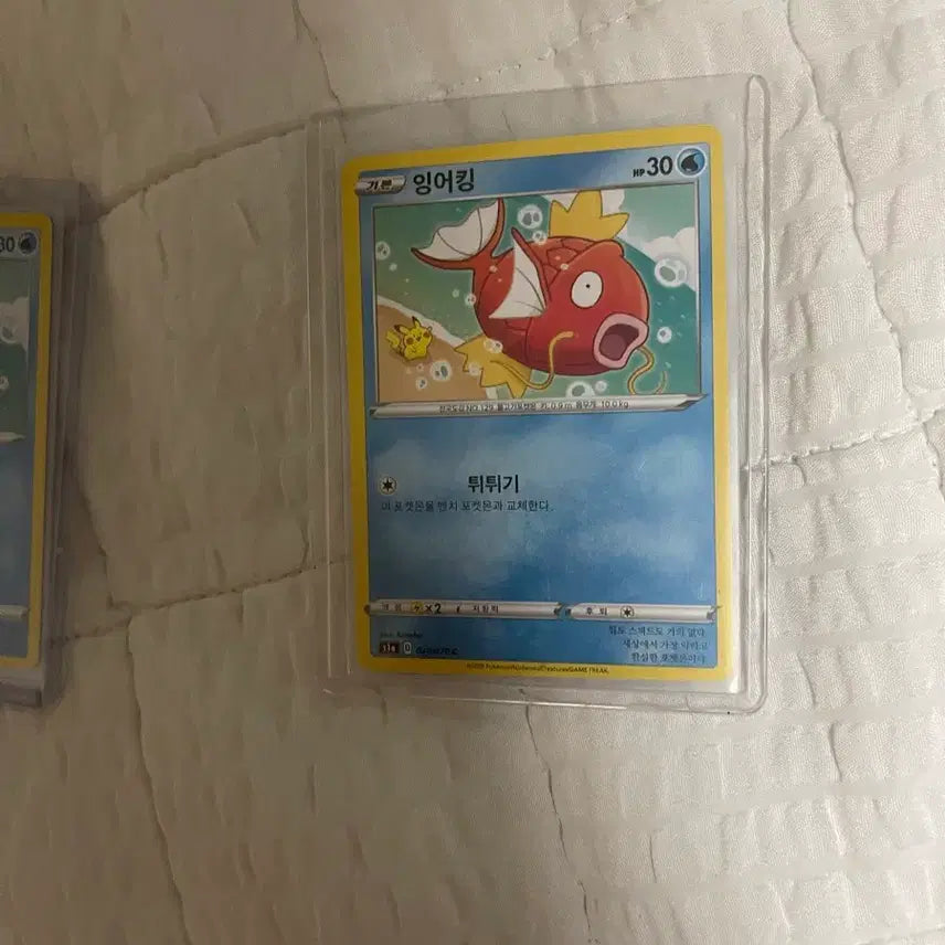 [BUNJANG] Pokemon Card Kannahei Magikarp / 포켓몬카드 칸나헤이 잉어킹 (1)