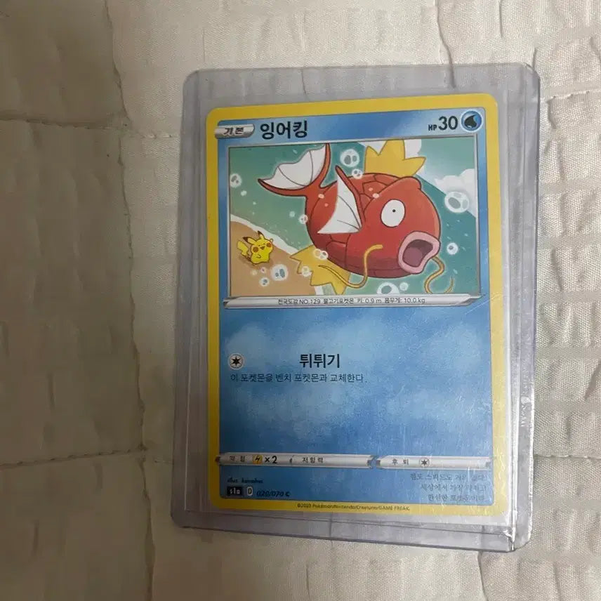 [BUNJANG] Kannahei Magikarp Trading Card / 포켓몬카드 칸나헤이 잉어킹 (2)