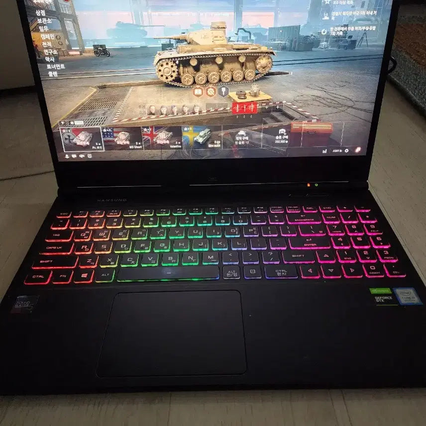 [BUNJANG] Hansung TFG256XT Gaming Laptop / 게이밍 노트북