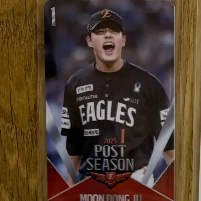 [BUNJANG] Hanwha Eagles Moon Dong-ju Postseason Korean Series Photocard / 한화이글스 문동주 포스트시즌 한국시리즈 포카 양도