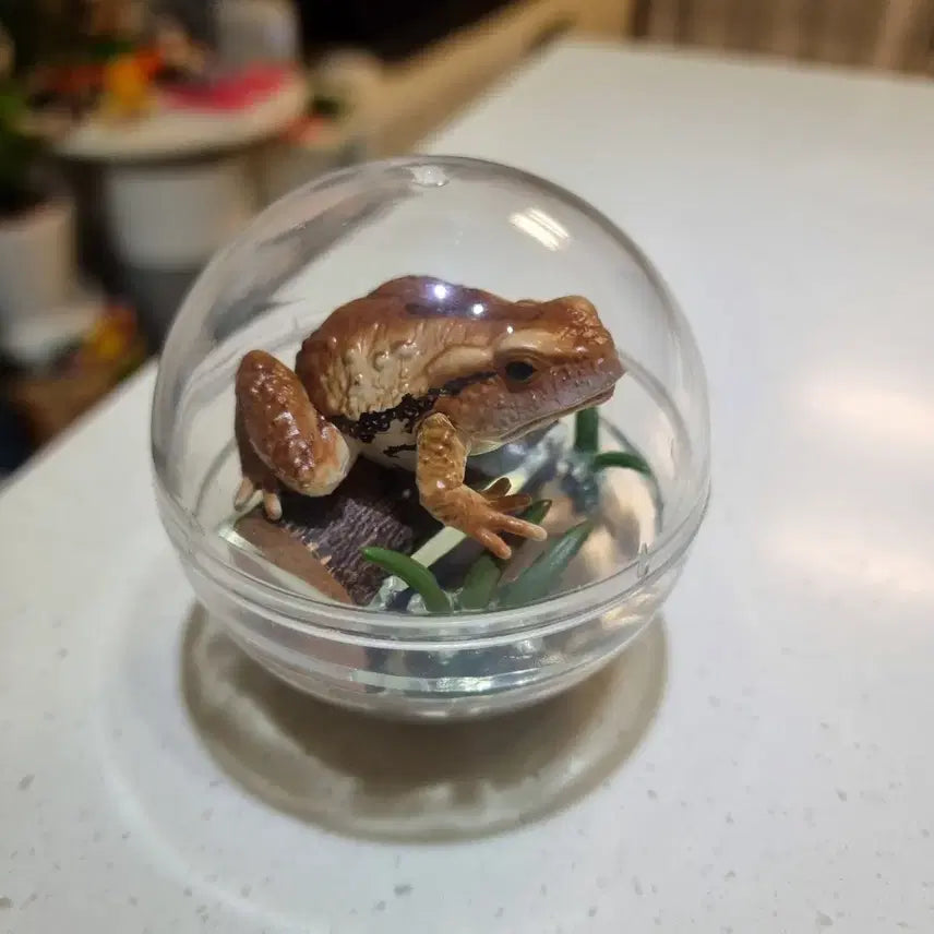 [BUNJANG] Qualia Caprium Collection Toad Diorama Figure / Qualia 카프리움 컬렉션 두꺼비 피규어 생물 피규어