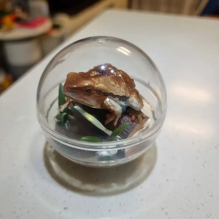 [BUNJANG] Qualia Caprium Collection Toad Diorama Figure / Qualia 카프리움 컬렉션 두꺼비 피규어 생물 피규어