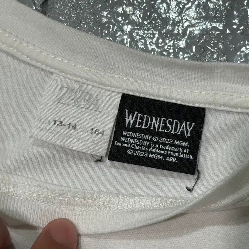 [BUNJANG] Vintage ZARA Wednesday T-Shirt / 빈티지 자라(ZARA) 웬즈데이 WEDNESDAY 티셔츠