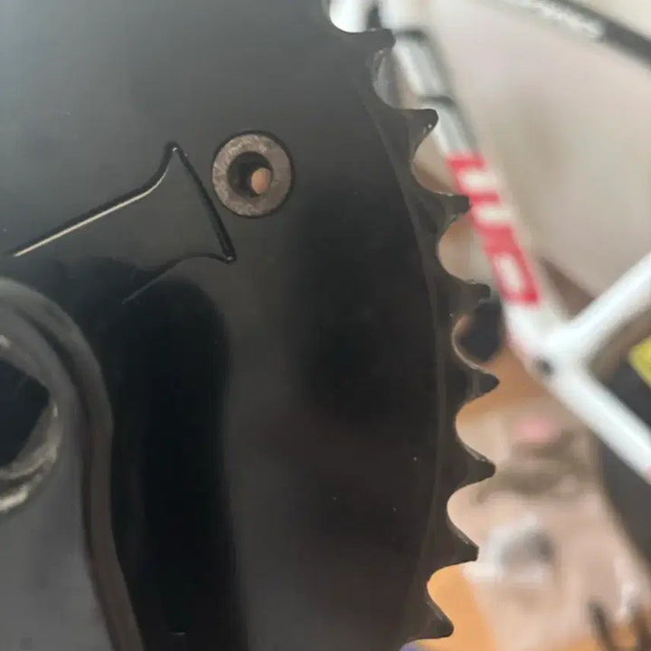 [BUNJANG] FSA Gossamer Crankset / 파간 디스크 크랭크 세트