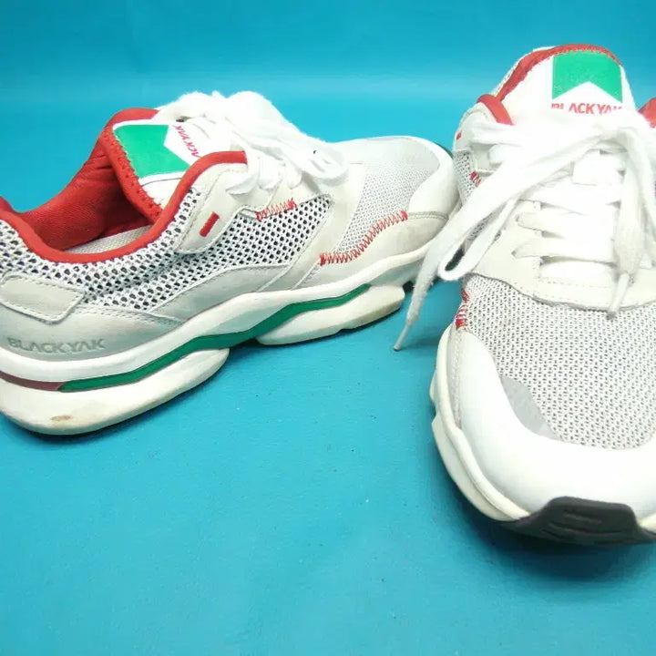 [BUNJANG] Blackyak Coolbreed Walking Shoes - Size 250 / 250/sb0-315/블랙야크 쿨브리드 워킹화 운동화/구제특별시