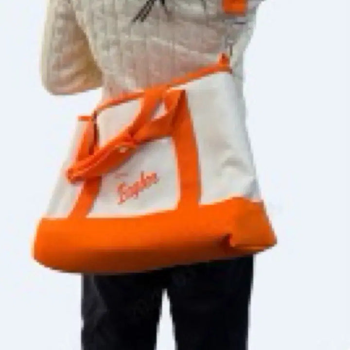 [BUNJANG] Hanwha Eagles Insulated Boston Bag New / 한화이글스 한화 보냉보스턴백 새상품 반택포