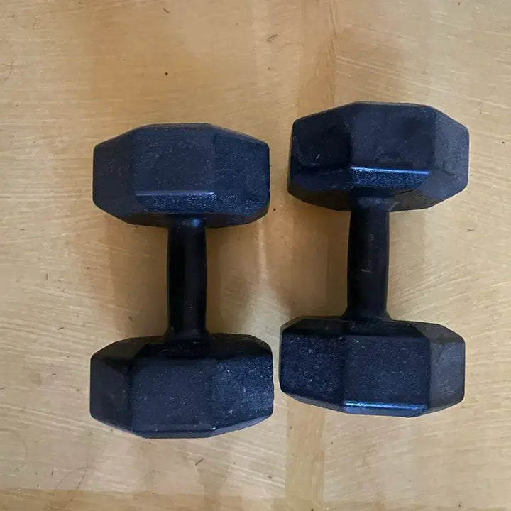[BUNJANG] Arif Dynamic Octagon Dumbbells 8kg (Set of 2) / 아리프 다이나믹 옥타곤 아령 8kg x 2개