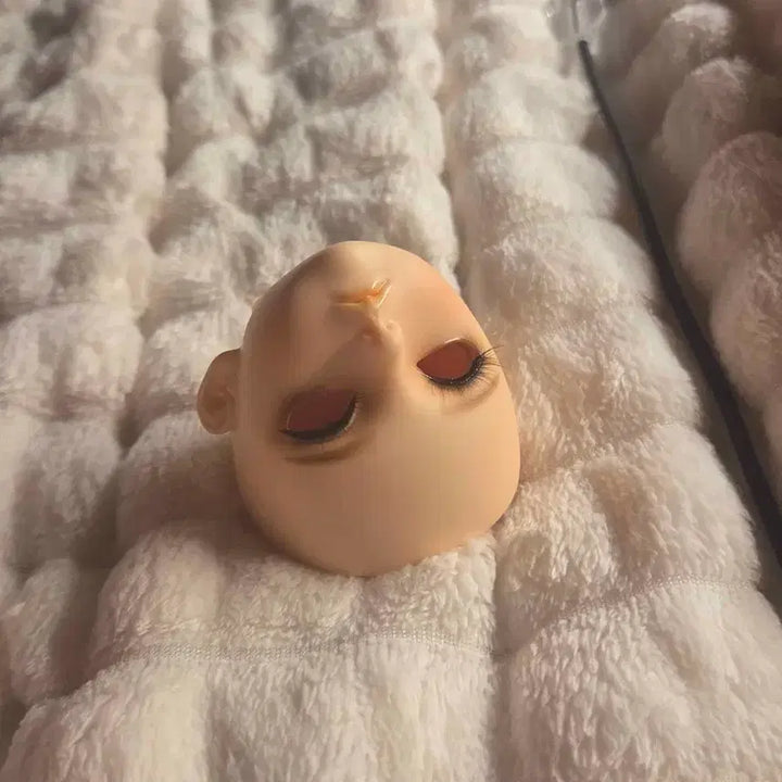 [SOLD OUT] 구체관절인형 데이드림 헤드판매