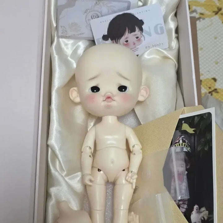[BUNJANG] Hminor Doll Buddingi Ball-Jointed Doll / 구관인형 관절인형 hminordoll 부딩이