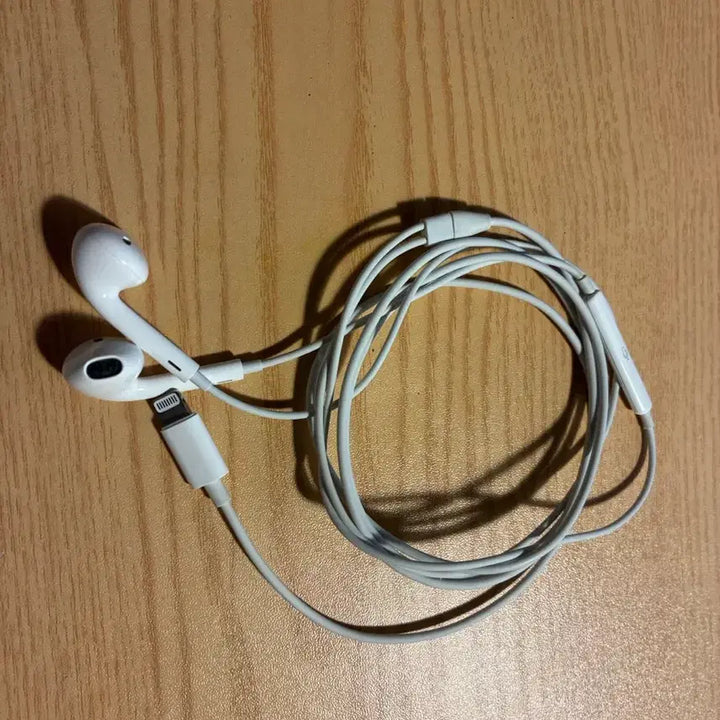 [BUNJANG] Apple Genuine Lightning Earpods Wired Earphones / Apple 애플 정품 라이트닝 이어팟 유선 이어폰