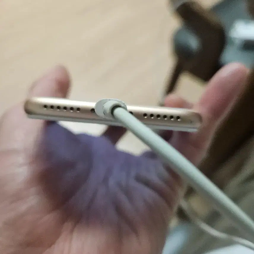 [BUNJANG] Apple iPhone 8 256GB / 아이폰8  256