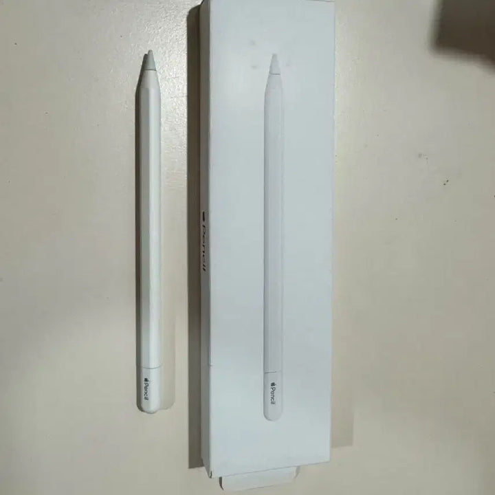[BUNJANG] Apple Pencil USB-C / 애플펜슬 usb c타입