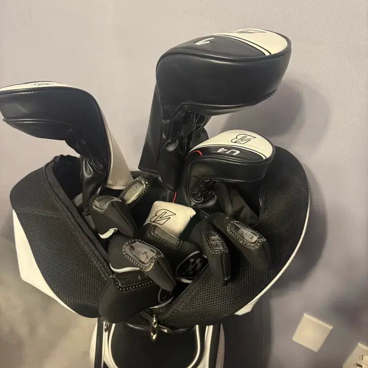 [BUNJANG] Bridgestone BG-100 11-Piece Golf Club Full Set / 브리지스톤 BG-100 골프채 11 풀세트