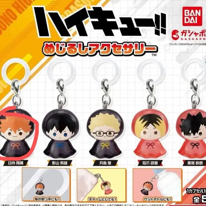 [BUNJANG] Haikyuu!! Mejirushi Hinata / 하이큐 메지루시 히나타